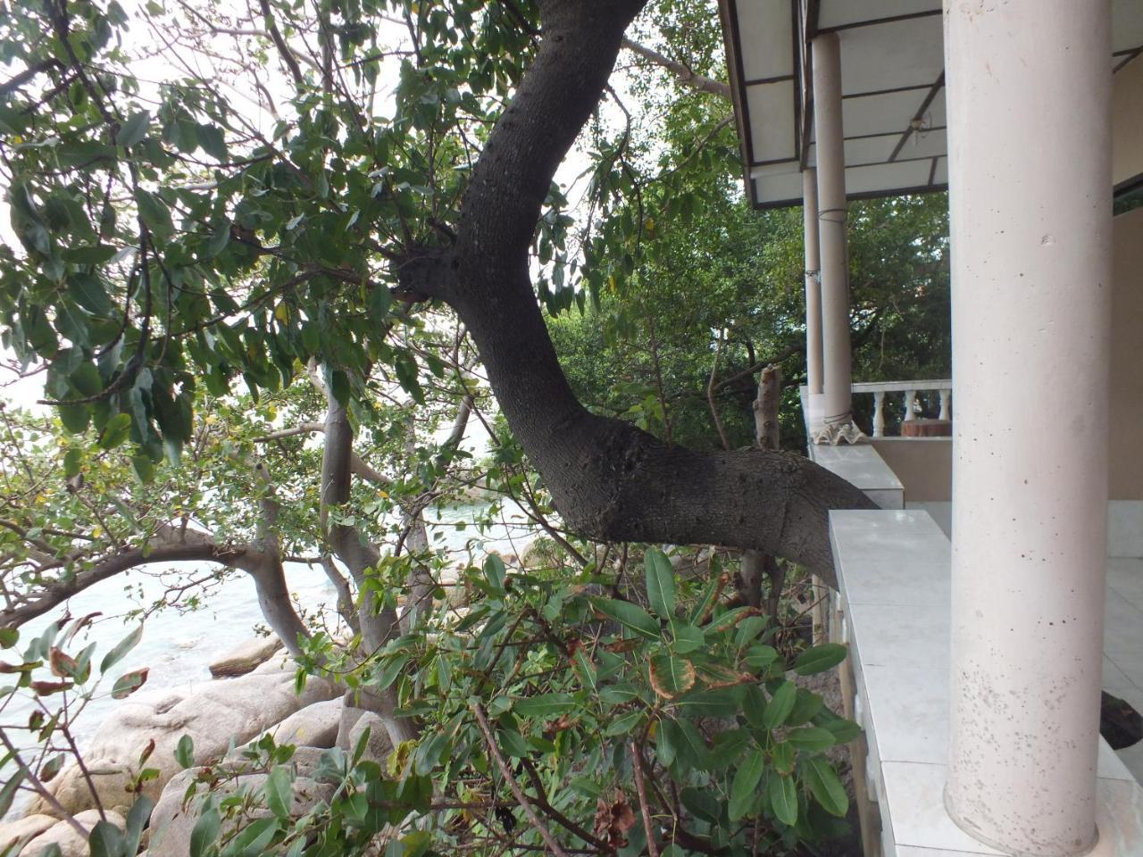 Queen Resort Ko Tao Exteriér fotografie